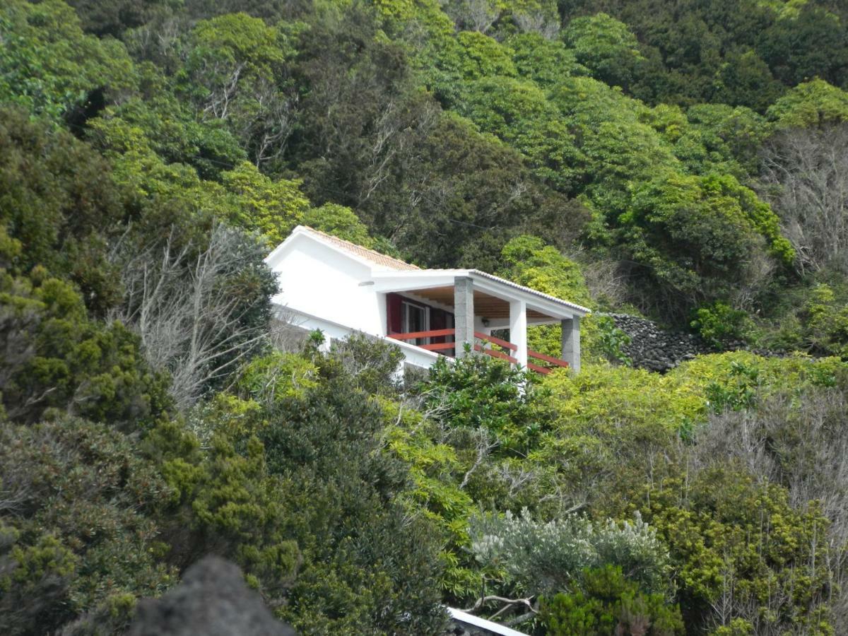 Villa Adega Ninho Da Cagarra Calheta de Nesquim Exterior foto